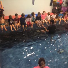 aula sobrevivência natação kids 4