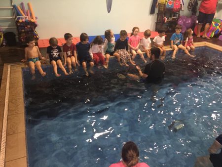 aula sobrevivência natação kids 4