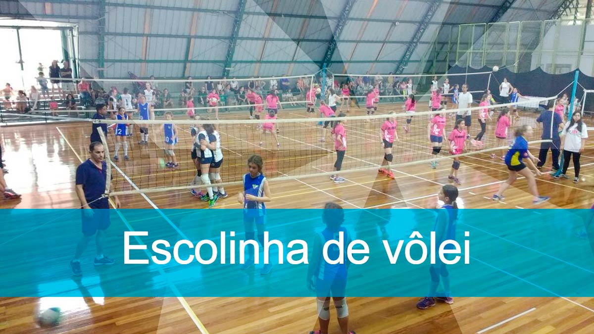 Escolinha De Vôlei: Confira Dicas Para Iniciantes