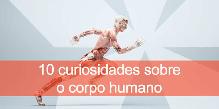 10 curiosidades sobre o corpo humano