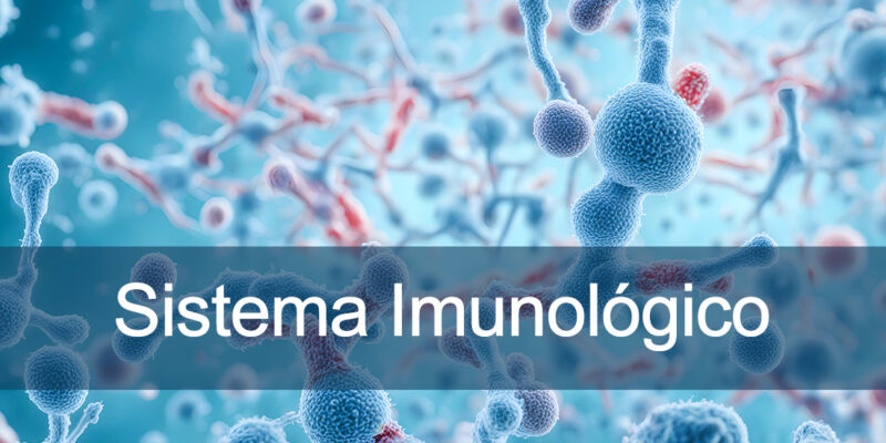 Sistema imunológico - como evitar doenças comuns