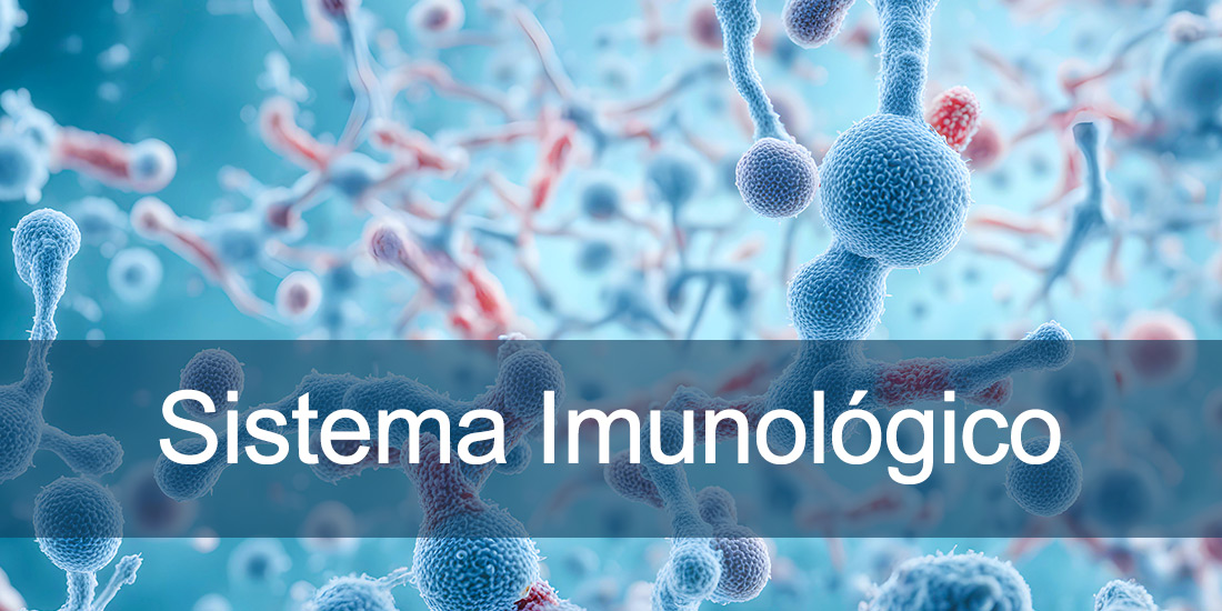 Sistema imunológico - como evitar doenças comuns