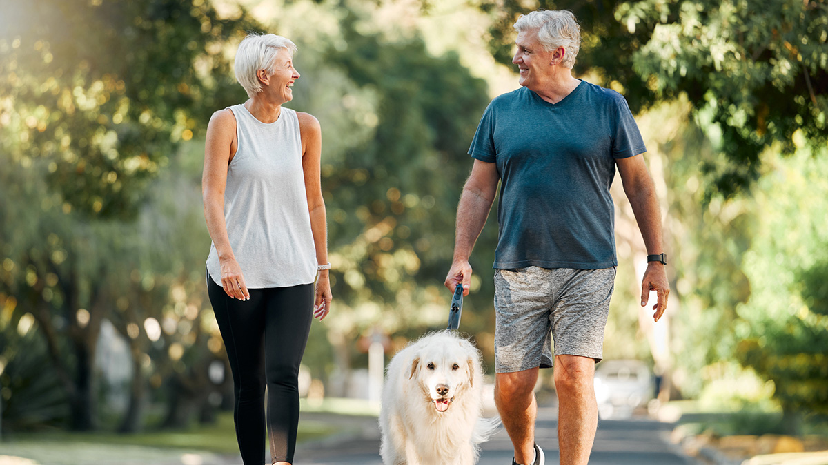 Casal a caminhar no parque com seu cachorro