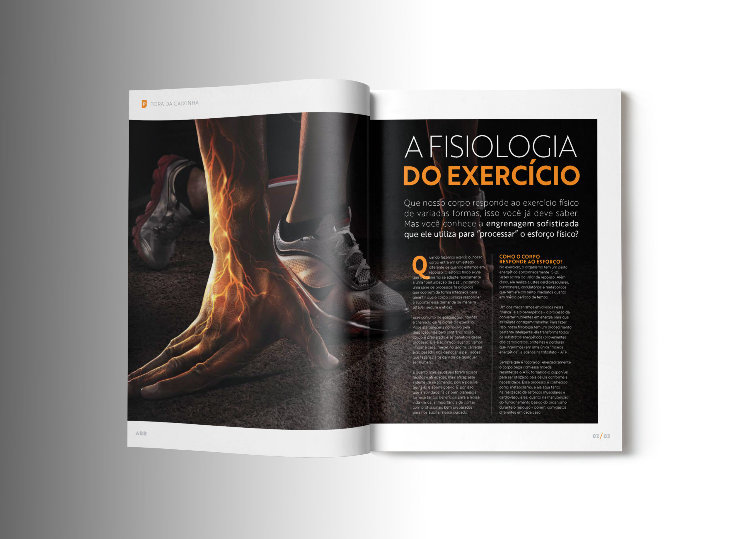 Revista Home: Revista Home – Destaque 2