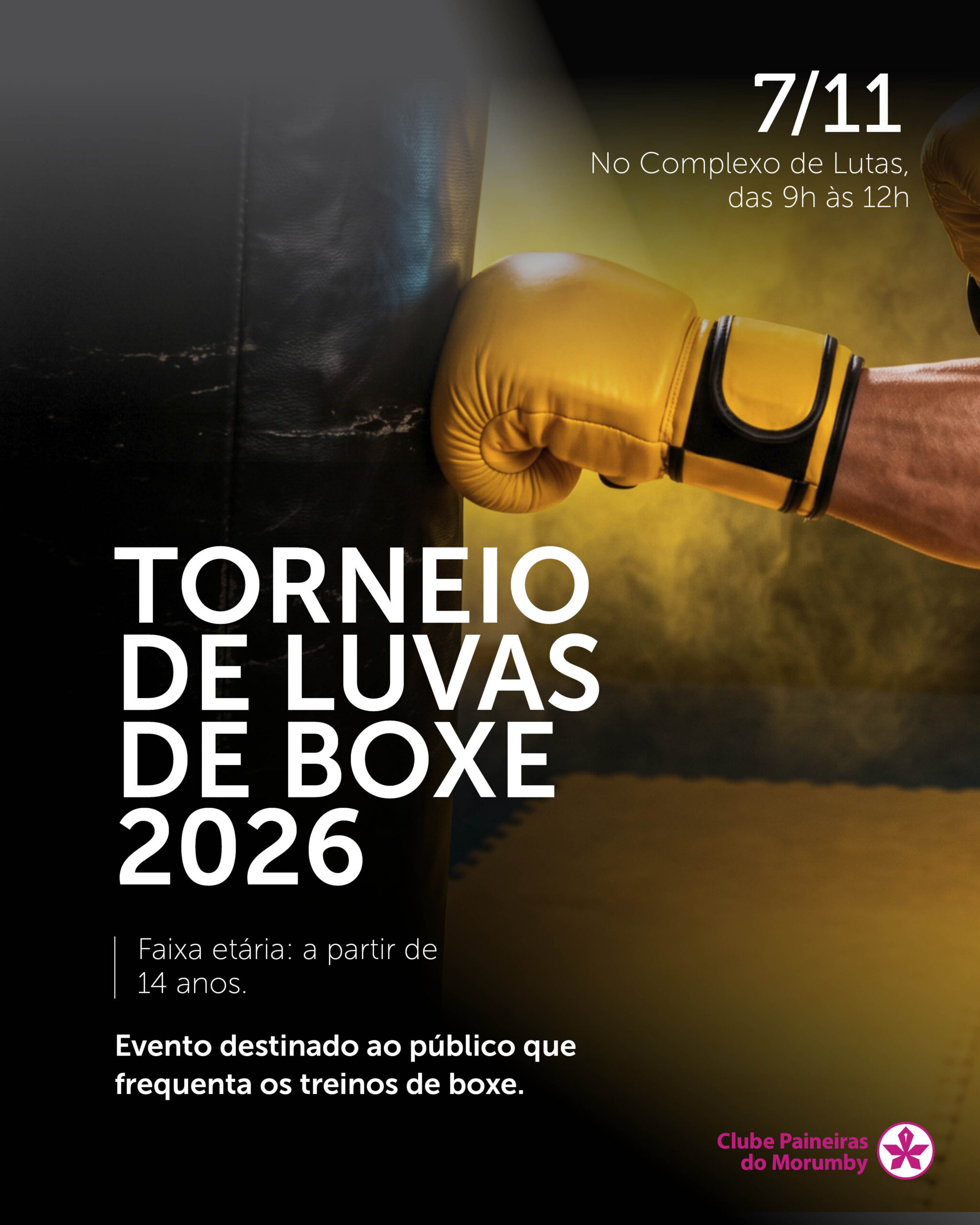 Torneio de Luvas de Boxe feed.jpg scaled